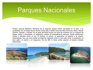 Parques Nacionales
Parque nacional Mochima: Mochima fue el segundo parque marino decretado en el país, y es
compartido con el Estado Sucre. Reúne varias islas e islotes como las islas Chimanas, Mono, Picuda
Grande, Caracas, y Venado. En la parte del litoral ocupa una zona de montaña con un conjunto de
playas, golfos y ensenadas. La vegetación costera es esencialmente espinosa, donde predominan
cactus y arbustos como el cují, el dividive, el yacure, el guamacho, el espinito y la retama.
Ascendiendo, hay una zona donde se observan especies como la vera palo santo, el guatacaro, el
jobo pelón, el cardón y el araguaney. De los 900 m hacia arriba aparece el bosque húmedo
premontano.

 