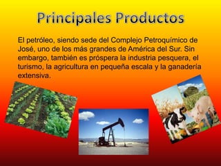 El petróleo, siendo sede del Complejo Petroquímico de
José, uno de los más grandes de América del Sur. Sin
embargo, también es próspera la industria pesquera, el
turismo, la agricultura en pequeña escala y la ganadería
extensiva.
 