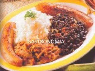 GASTRONOMIA
 