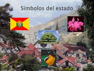 Árbol
bandera
                  flor




           ave
 