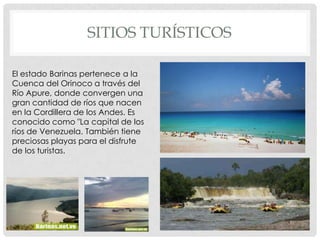 SITIOS TURÍSTICOS

El estado Barinas pertenece a la
Cuenca del Orinoco a través del
Río Apure, donde convergen una
gran cantidad de ríos que nacen
en la Cordillera de los Andes. Es
conocido como "La capital de los
ríos de Venezuela. También tiene
preciosas playas para el disfrute
de los turistas.
 