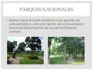 PARQUES NACIONALES

• Barinas tiene el jardín botánico más grande de
  Latinoamérica, ubicado dentro de la Universidad
  Nacional Experimental de Los Llanos Ezequiel
  Zamora
 