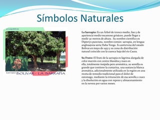 Símbolos Naturales
La Sarrapia: Es un Árbol de tronco medio, liso y de
apariencia medio escamoso grisáceo, puede llegar a
medir 30 metros de altura . Su nombre científico es
Dipteryx punctata, nombre común: sarrapia, en lengua
anglosajona sería Haba Tonga. Es autóctona del estado
Bolívar en mayo de 1952 y su zona de distribución
natural coincide con la cuenca baja del río Caura.
Su Fruto: El fruto de la sarrapia es lágrima alargada de
color marrón con centro blandos y nuez en
ella, totalmente insípida pero aromática, su semilla es
grande que contiene la cumarina, una sustancia blanca
aromática, adicionalmente utilizada en la región en una
receta de remedio tradicional para el dolor de
estomago, mediante la trituración de esa semilla o nuez
y la disolución en agua con repozo y almacenamiento
en la nevera por varios meses.

 