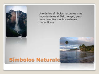 Uno de los símbolos naturales mas
         importante es el Salto Ángel, pero
         tiene también muchos relieves
         maravillosos




Símbolos Naturales
 