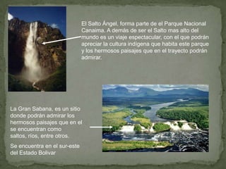 El Salto Ángel, forma parte de el Parque Nacional
Canaima. A demás de ser el Salto mas alto del
mundo es un viaje espectacular, con el que podrán
apreciar la cultura indígena que habita este parque
y los hermosos paisajes que en el trayecto podrán
admirar.

La Gran Sabana, es un sitio
donde podrán admirar los
hermosos paisajes que en el
se encuentran como
saltos, ríos, entre otros.
Se encuentra en el sur-este
del Estado Bolivar

 