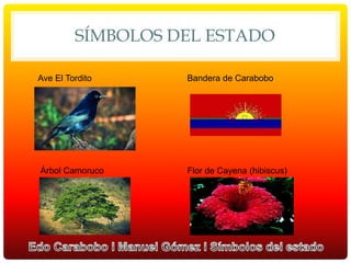 SÍMBOLOS DEL ESTADO
Ave El Tordito Bandera de Carabobo
Árbol Camoruco Flor de Cayena (hibiscus)
 