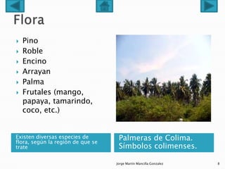 Estado colima | PPSX
