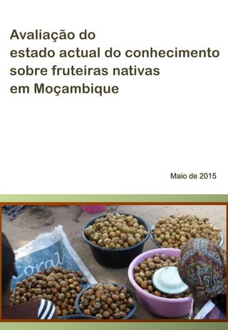 Avaliação do
estado actual do conhecimento
sobre fruteiras nativas
em Moçambique
Maio de 2015
 