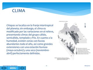 Herramientas Informáticas 10
Chiapas se localiza en la franja intertropical
del planeta; sin embargo, el clima es
modificado por las variaciones en el relieve,
presentando climas del grupo cálido,
semicálido, templado y frío. En cuanto a la
humedad, existen zonas con lluvias
abundantes todo el año, así como grandes
extensiones con una estación lluviosa
(mayo-octubre) y una seca (noviembre-
abril) perfectamente definidas.
CLIMA
18/03/2022
 