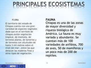 El territorio del estado de
Chiapas cuenta con una gran
variedad de especies vegetales
dado que en el territoio de
chiapas existe vegetación
tropical, de montaña, de
terrenos planos, de lomerios y
de terrenos con altuitudes de
hasta 3 mil metros sobre el
nivel del mar , entre las que
detacan las maderas finas y
otros tipos de vegetación.
Herramientas Informáticas 11
FAUNA
Chiapas es una de las zonas
de mayor diversidad y
riqueza biológica de
América. La fauna es muy
variada y abundante. Se
cuentan más de 100
variedades de anfibios, 700
de aves, 50 de mamíferos y
un poco más de 200 de
reptiles.
18/03/2022
 