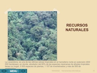 RECURSOS
NATURALES
Herramientas Informáticas 12
La Lacandona, es una de las últimas selvas tropicales en el hemisferio norte en extensión (600
000 hectáreas), en donde, alrededor del 60% de las especies mexicanas de árboles tropicales
tienen su hogar, 3 500 especies de plantas, 1 157 de invertebrados y más de 500 de
vertebrados.
18/03/2022
 