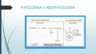 PATOGENIA Y FISIOPATOLOGIA

8 ATP
www.pharmedsolutionsinstitute.com.mx

DEUDA DE OXÍGENO
Informes. 36246001

 