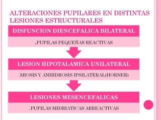 ALTERACIONES PUPILARES EN DISTINTAS LESIONES ESTRUCTURALES 