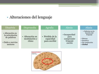 Interpretación de refranes6.   OrientaciónTiempo    “En que mes/día/año estamos?”