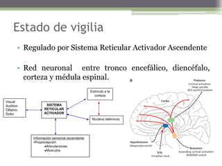 Lugar        “Dónde estamos ahora?”