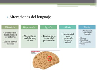 AlegreFunciones mentales superiores3.    Memoria 