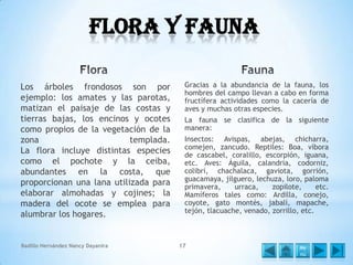 Flora y Fauna
Los árboles frondosos son por
ejemplo: los amates y las parotas,
matizan el paisaje de las costas y
tierras bajas, los encinos y ocotes
como propios de la vegetación de la
zona
templada.
La flora incluye distintas especies
como el pochote y la ceiba,
abundantes en la costa, que
proporcionan una lana utilizada para
elaborar almohadas y cojines; la
madera del ocote se emplea para
alumbrar los hogares.

Badillo Hernández Nancy Dayanira

Gracias a la abundancia de la fauna, los
hombres del campo llevan a cabo en forma
fructífera actividades como la cacería de
aves y muchas otras especies.
La fauna se clasifica de la siguiente
manera:
Insectos: Avispas, abejas, chicharra,
comejen, zancudo. Reptiles: Boa, víbora
de cascabel, coralillo, escorpión, iguana,
etc. Aves: Águila, calandria, codorniz,
colibrí, chachalaca, gaviota, gorrión,
guacamaya, jilguero, lechuza, loro, paloma
primavera,
urraca,
zopilote,
etc.
Mamíferos tales como: Ardilla, conejo,
coyote, gato montés, jabalí, mapache,
tejón, tlacuache, venado, zorrillo, etc.

17

Me
nú

 