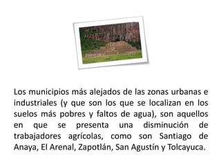 Los municipios más alejados de las zonas urbanas e
industriales (y que son los que se localizan en los
suelos más pobres y faltos de agua), son aquellos
en que se presenta una disminución de
trabajadores agrícolas, como son Santiago de
Anaya, El Arenal, Zapotlán, San Agustín y Tolcayuca.
01/04/2013                                        34
 