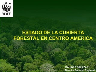 ESTADO DE LA CUBIERTA
FORESTAL EN CENTRO AMERICA




                MAURO E SALAZAR
                Director Forestal Regional
 