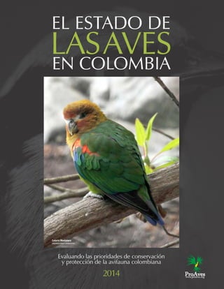 www.proaves.org
EL ESTADO DE
LASAVESEN COLOMBIA
2014
Cotorra Montañera
(Hapalopsittaca amazonina)
Evaluando las prioridades de conservación
y protección de la avifauna colombiana
 