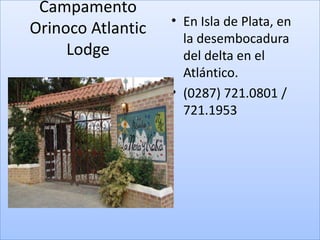 Campamento
                   • En Isla de Plata, en
Orinoco Atlantic
                     la desembocadura
     Lodge           del delta en el
                     Atlántico.
                   • (0287) 721.0801 /
                     721.1953
 