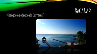 BACALAR
“Cercado o rodeado de Carrizos”
 