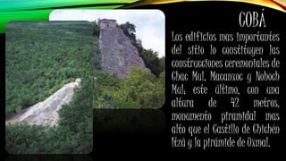 COBÁ
Los edificios mas importantes
del sitio lo constituyen las
construcciones ceremoniales de
Chac Mul, Macanxoc y Nohoch
Mul; este último, con una
altura de 42 metros,
monumento piramidal mas
alto que el Castillo de Chichén
Itzá y la pirámide de Uxmal.
 