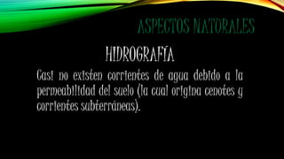 ASPECTOS NATURALES
HIDROGRAFÍA
Casi no existen corrientes de agua debido a la
permeabilidad del suelo (la cual origina cenotes y
corrientes subterráneas).
 