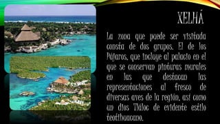 XELHÁ
La zona que puede ser visitada
consta de dos grupos. El de los
Pájaros, que incluye al palacio en el
que se conservan pinturas murales
en las que destacan las
representaciones al fresco de
diversas aves de la región, así como
un dios Tláloc de evidente estilo
teotihuacano.
 