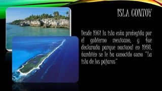 ISLA CONTOY
Desde 1961 la isla esta protegida por
el gobierno mexicano, y fue
declarada parque nacional en 1998,
también se le ha conocido como "La
isla de los pájaros"
 