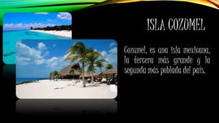 ISLA COZUMEL
Cozumel, es una isla mexicana,
la tercera más grande y la
segunda más poblada del país.
 