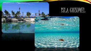 ISLA COZUMEL
 