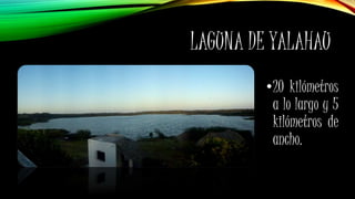 LAGUNA DE YALAHAU
•20 kilómetros
a lo largo y 5
kilómetros de
ancho.
 