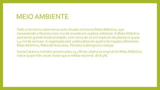 MEIOAMBIENTE
Todo o território catarinense esta situado no bioma Mata Atlântica, que
compreende a floresta mais rica do mundo em espécia arbóreas. A Mata Atlântica
apresenta grande biodiversidade, com cerca de 20 mil espécies de plantas e quase
1,4 mil de animais. A vegetação está subdividida em quatro formações diferentes:
Mata Atlântica, Mata de Araucária, Floresta Subtropical e estepe.
Santa Catarina mantém preservados 24.2% da cobertura original da Mata Atlântica,
indice quase três vezes maior que a média nacional. de 8.5%.
 