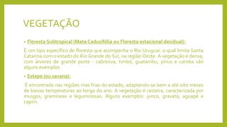 VEGETAÇÃO
• Floresta Subtropical (Mata Caducifólia ou Floresta estacional decidual):
É um tipo específico de floresta que acompanha o Rio Uruguai. o qual limita Santa
Catarina com o estado do Rio Grande do Sul, na região Oeste. A vegetação é densa,
com árvores de grande porte - cabreúva, timbó, guatambu, pínus e caroba são
alguns exemplos.
• Estepe (ou savana):
É encontrada nas regiões mas frias do estado, adaptando-se bem a até oito meses
de baixas temperaturas ao longo do ano. A vegetação é rasteira, caracterizada por
musgos, gramíneas e leguminosas. Alguns exemplos: junco, gravatá, aguapé e
capim.
 