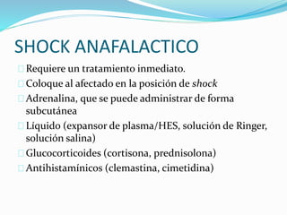 SHOCK ANAFALACTICO 
 Requiere un tratamiento inmediato. 
 Coloque al afectado en la posición de shock 
 Adrenalina, que se puede administrar de forma 
subcutánea 
 Líquido (expansor de plasma/HES, solución de Ringer, 
solución salina) 
 Glucocorticoides (cortisona, prednisolona) 
 Antihistamínicos (clemastina, cimetidina) 
 
