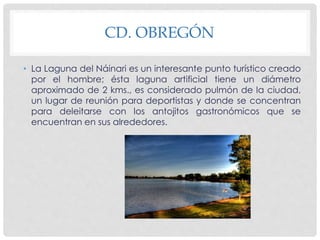 CD. OBREGÓN 
• La Laguna del Náinari es un interesante punto turístico creado 
por el hombre; ésta laguna artificial tiene un diámetro 
aproximado de 2 kms., es considerado pulmón de la ciudad, 
un lugar de reunión para deportistas y donde se concentran 
para deleitarse con los antojitos gastronómicos que se 
encuentran en sus alrededores. 
 
