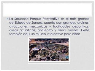 • La Sauceda Parque Recreativo es el más grande 
del Estado de Sonora, cuenta con grandes jardines, 
atracciones mecánicas y facilidades deportivas, 
áreas acuáticas, anfiteatro y áreas verdes. Existe 
también aquí un museo interactivo para niños. 
 