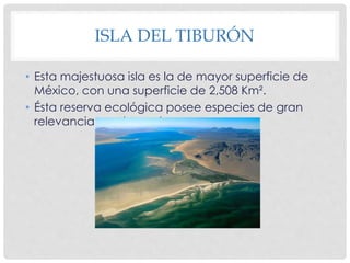 ISLA DEL TIBURÓN 
• Esta majestuosa isla es la de mayor superficie de 
México, con una superficie de 2,508 Km². 
• Ésta reserva ecológica posee especies de gran 
relevancia en el mundo. 
 