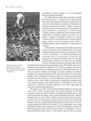 consideram um bem público e raiz da identidade
10
pessoal, regionalenacional.
Se implantados de modo eficaz, métodos de gestão
das áreas de pesca – incluindo cotas rigorosas para
pesca, técnicas de gestão comunitária, equipamentos de
pesca bem direcionados que limitem a destruição em
massa de ecossistemas marinhos – aliados a incentivos
econômicos têm o potencial para reverter a tendência de
pesca predatória e reconstruir a biodiversidade
marinha. Embora a gestão das áreas de pesca tenha se
aprimorado em diversas regiões dos países de alta
renda, a situação no Sudeste Asiático, na América
Central, na África e no Oceano Índico continua a piorar,
porque tanto a pesca de pequena escala quanto a
industrial operam, quase totalmente, sem supervisão ou
11
restrição.
Como espécies individuais têm funções específicas
em um ecossistema, a pesca predatória de uma espécie
em particular pode causar impactos significativos sobre
a oferta de alimentos e as relações predador-presa,
alterando todo o ecossistema. O declínio das
populações de tubarão do mundo todo é um exemplo
particularmente gritante. Na costa leste dos Estados
Unidos, a abundância da maior parte das espécies locais
de tubarão diminuiu pelo menos pela metade entre 1990 e 2000, sendo que os
tubarões-raposa sofreram redução de 75%. Dentre as espécies que tiveram
seu número reduzido, onze atingiram o ponto de “eliminação funcional”, ou
seja, já não têm condições de exercer seu papel ecológico de predador
principal. Um estudo realizado em 2007 mostra os efeitos em cascata desse
colapso sobre a ecologia local, dentre os quais, um aumento correspondente
no número de raias-ticonha e sua maior ingestão de espécies bivalves como
marisco, ostra e vieira. Além de representar um problema econômico para
essas áreas pesqueiras, isso poderá deixar as populações bivalves mais
vulneráveis a fatores de desgaste ambiental e com menor capacidade de
12
resposta àsiniciativasderestauração.
De acordo com a FAO, a pesca anual de tubarão triplicou no mundo todo
entre 1950 e 2000, quando atingiu um recorde histórico de 893.000
toneladas. Grande parte desse número é resultante da demanda chinesa para
sopa de barbatana de tubarão, uma iguaria muitíssimo apreciada e símbolo
cultural de luxo e status. Muito embora o governo chinês tenha anunciado,
em 2012, que não continuaria a permitir que esse prato fosse servido em
banquetes oficiais, o legado ambiental dessa prática ainda persiste. Em 2011,
a pesca mundial de tubarão havia caído 15% em comparação com o auge
registrado em 2000. Essa redução talvez reflita, parcialmente, o impacto de
medidas de preservação concebidas para reduzir a mortalidade e evitar a
pesca incidental; mesmo assim, a FAO observa que isso talvez expresse
Agente da Administração
Nacional de Oceanos e
Atmosfera dos Estados Unidos
conta barbatanas de tubarão
confiscadas.
Estado do Mundo 201584
 
