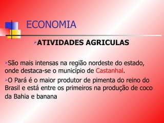 ECONOMIA ATIVIDADES AGRICULAS São mais intensas na região nordeste do estado, onde destaca-se o município de  Castanhal . O Pará é o maior produtor de pimenta do reino do Brasil e está entre os primeiros na produção de coco da Bahia e banana   