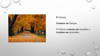 É Outono.
Estamos no Outono.
O Outono começa em setembro e
termina em dezembro.
 