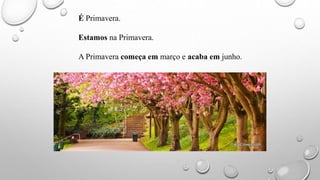 É Primavera.
Estamos na Primavera.
A Primavera começa em março e acaba em junho.
 