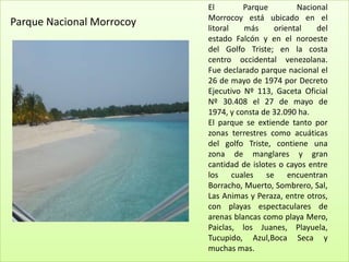 El        Parque         Nacional
                           Morrocoy está ubicado en el
Parque Nacional Morrocoy   litoral   más     oriental    del
                           estado Falcón y en el noroeste
                           del Golfo Triste; en la costa
                           centro occidental venezolana.
                           Fue declarado parque nacional el
                           26 de mayo de 1974 por Decreto
                           Ejecutivo Nº 113, Gaceta Oficial
                           Nº 30.408 el 27 de mayo de
                           1974, y consta de 32.090 ha.
                           El parque se extiende tanto por
                           zonas terrestres como acuáticas
                           del golfo Triste, contiene una
                           zona de manglares y gran
                           cantidad de islotes o cayos entre
                           los cuales se encuentran
                           Borracho, Muerto, Sombrero, Sal,
                           Las Animas y Peraza, entre otros,
                           con playas espectaculares de
                           arenas blancas como playa Mero,
                           Paiclas, los Juanes, Playuela,
                           Tucupido, Azul,Boca Seca y
                           muchas mas.
 