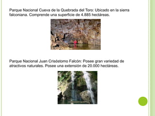 Parque Nacional Cueva de la Quebrada del Toro: Ubicado en la sierra
falconiana. Comprende una superficie de 4.885 hectáreas.

Parque Nacional Juan Crisóstomo Falcón: Posee gran variedad de
atractivos naturales. Posee una extensión de 20.000 hectáreas.

 