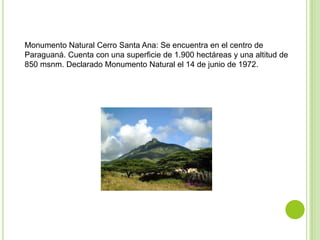 Monumento Natural Cerro Santa Ana: Se encuentra en el centro de
Paraguaná. Cuenta con una superficie de 1.900 hectáreas y una altitud de
850 msnm. Declarado Monumento Natural el 14 de junio de 1972.

 