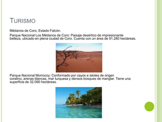 TURISMO
Médanos de Coro, Estado Falcón.
Parque Nacional Los Médanos de Coro: Paisaje desértico de impresionante
belleza, ubicado en plena ciudad de Coro. Cuenta con un área de 91.280 hectáreas.

Parque Nacional Morrocoy: Conformado por cayos e islotes de origen
coralino, arenas blancas, mar turquesa y densos bosques de manglar. Tiene una
superficie de 32.090 hectáreas.

 