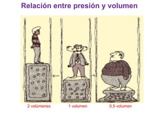 2 volúmenes 1 volumen 0,5 volumen
Relación entre presión y volumen
 