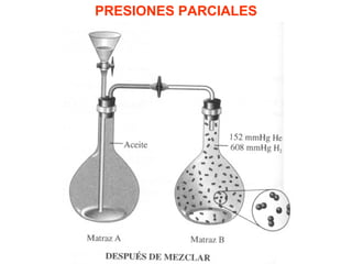 PRESIONES PARCIALES
 