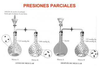 PRESIONES PARCIALES
 